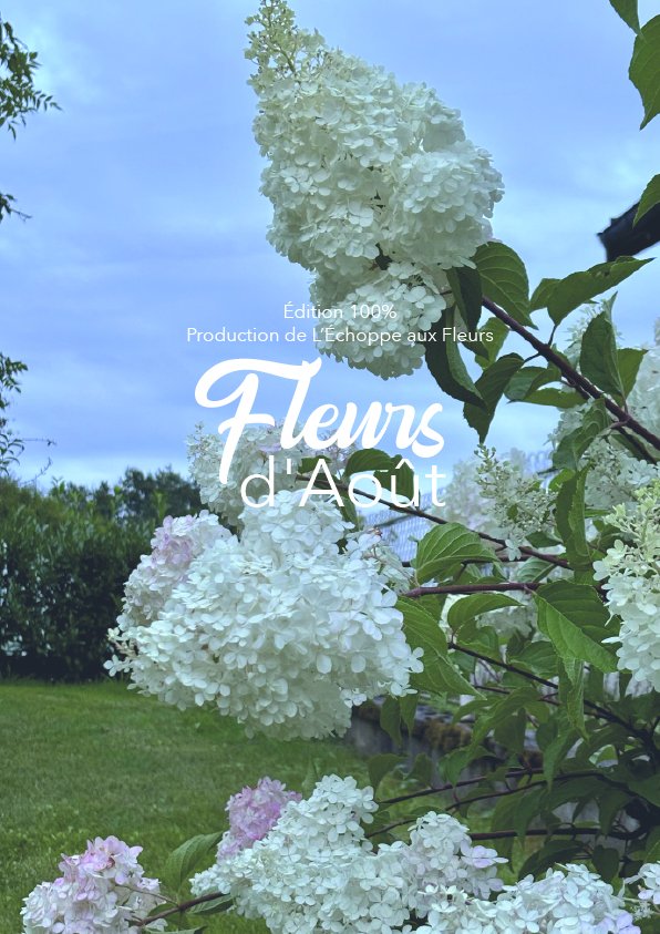 Fleurs d'août